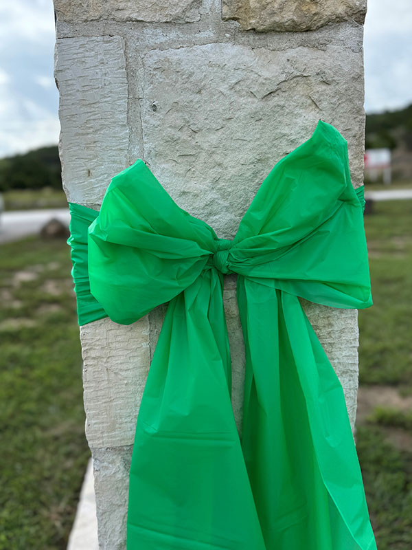 A big green bow