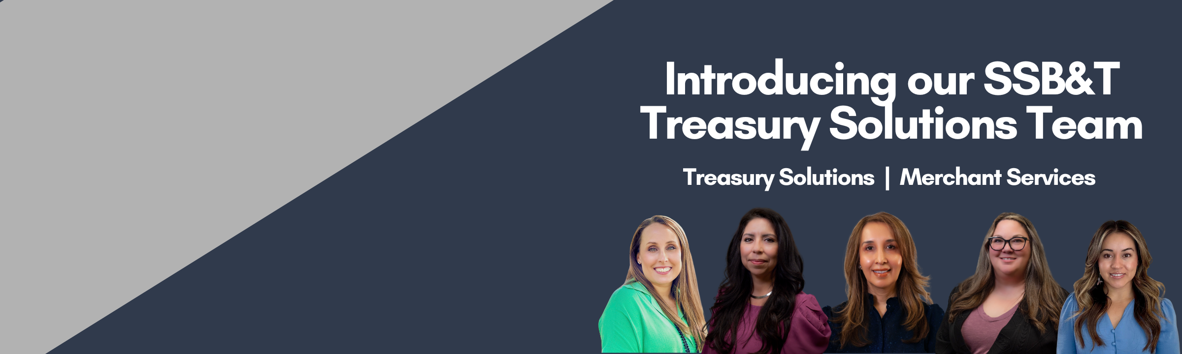 Treasury Solution