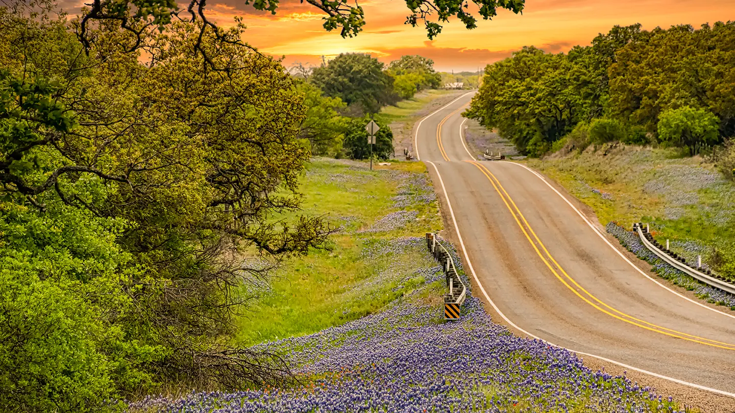 A winding two-lane country road lined with wildflowers and green trees, leading toward an orange sunset on the horizon.