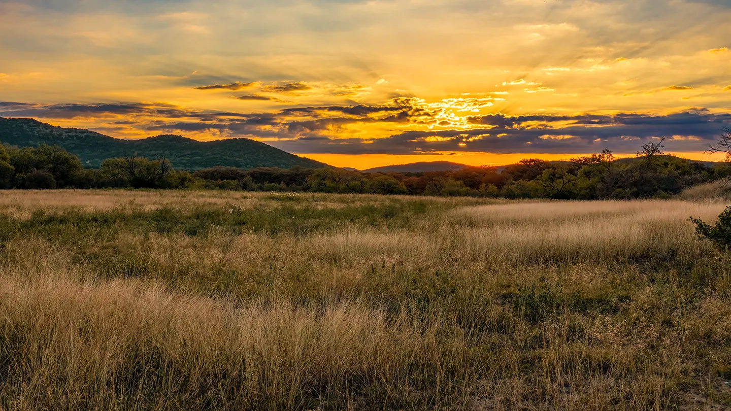 A panoramic view of a golden field of tall prairie grass at dusk, with rolling hills in the background and sunlight streaming through dramatic clouds.