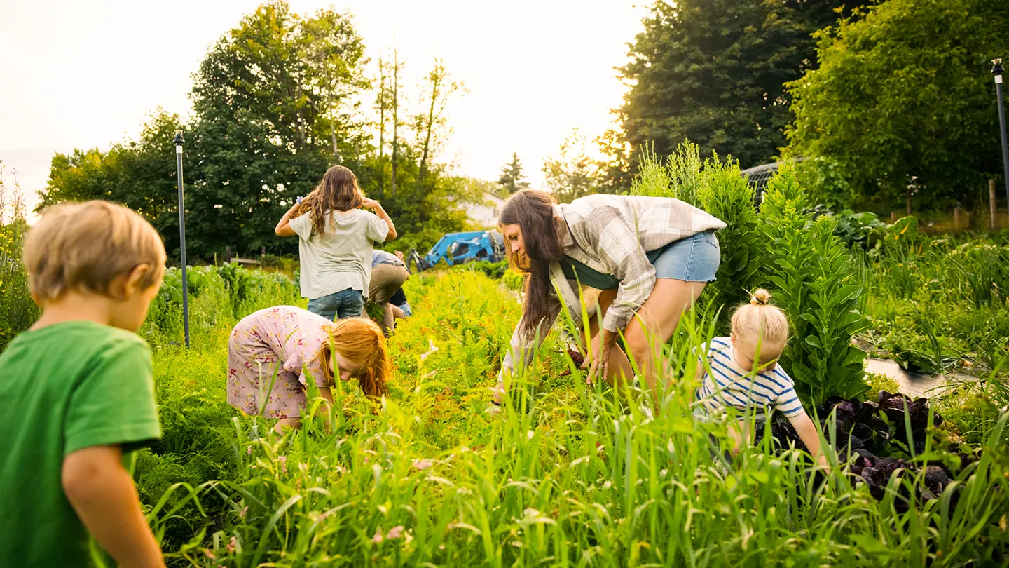 A woman and several children working together in a lush vegetable garden, picking produce among tall green plants.