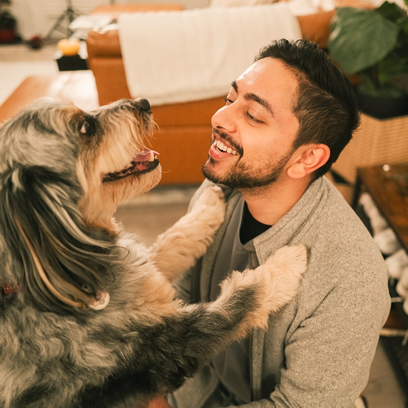 A smiling man kneeling on a floor and playing with a happy, long-haired dog.